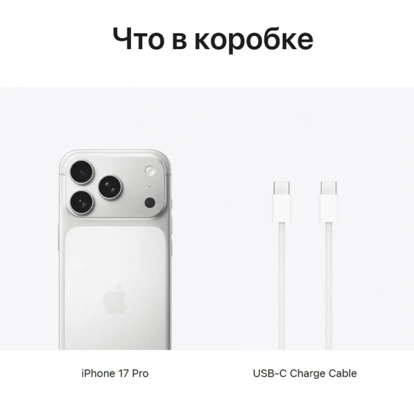 смартфон apple iphone 17 pro max 2 тб, "cеребристый" | silver (esim)